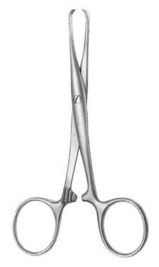 Chaput Forceps - Hemostats