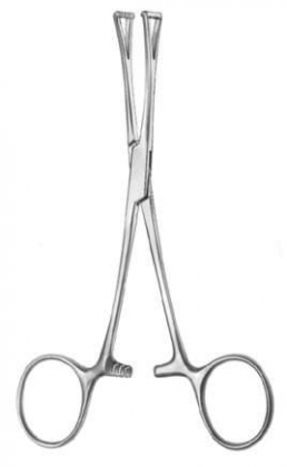 Collin Forceps - Hemostats